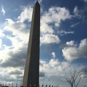 Meet your Posher, Winston